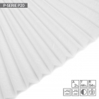 P 20
