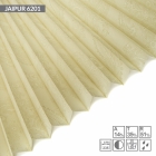 JAIPUR 6201