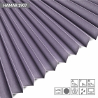 HAMAR 1907