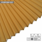 KORDOBA 503