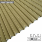 KORDOBA 801