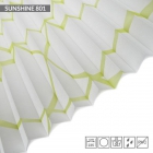 SUNSHINE 801